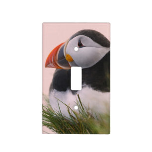 Atlantic Puffin (Fratercula arctica) Light Switch Cover