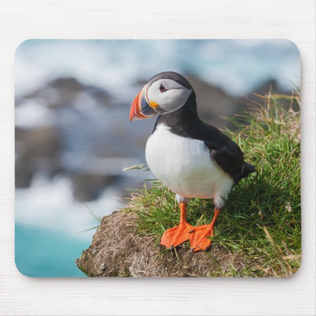 Atlantic Puffin Fratercula Arctica Mouse Pad (Front)