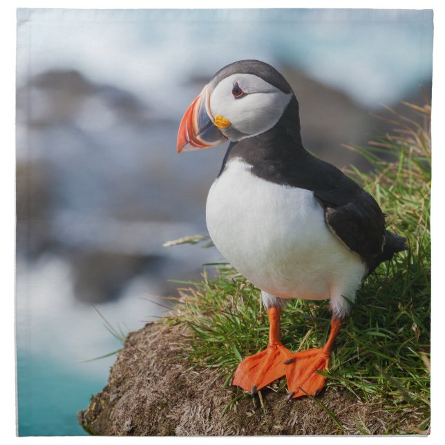 Atlantic Puffin Fratercula Arctica Napkin (Front)