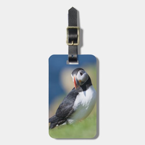 Atlantic Puffin Fratercula Arctica On Cliff 2 Luggage Tag