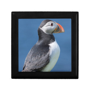 Atlantic Puffin (Fratercula Arctica) On Cliff Jewelry Box