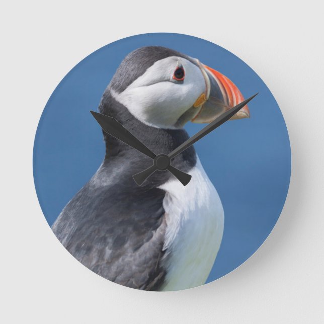 Atlantic Puffin (Fratercula Arctica) On Cliff Round Clock (Front)