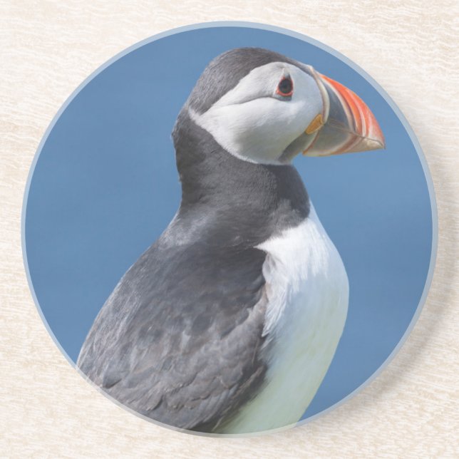 Atlantic Puffin (Fratercula Arctica) On Cliff Sandstone Coaster (Front)