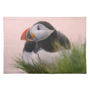 Atlantic Puffin (Fratercula arctica) Placemat
