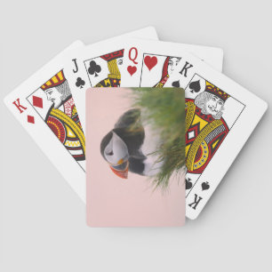 Atlantic Puffin (Fratercula arctica) Poker Cards