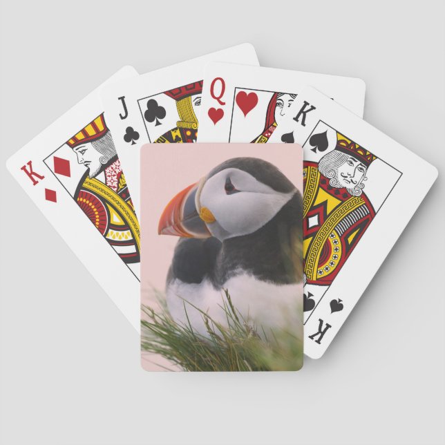 Atlantic Puffin (Fratercula arctica) Poker Cards (Back)