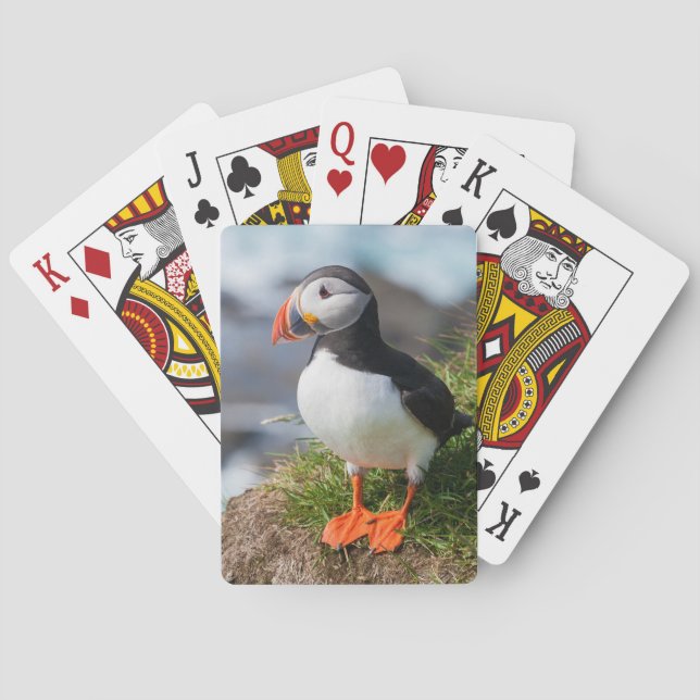 Atlantic Puffin Fratercula Arctica Poker Cards (Back)