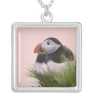 Atlantic Puffin (Fratercula arctica) Silver Plated Necklace