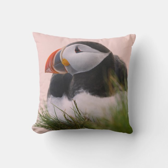 Atlantic Puffin (Fratercula arctica) Throw Pillow (Front)