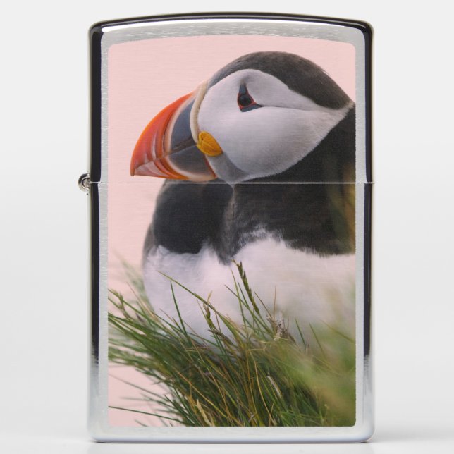 Atlantic Puffin (Fratercula arctica) Zippo Lighter (Front)