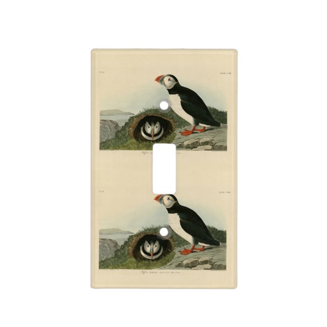 Atlantic Puffin from Audubon's Birds of America Light Switch Cover (Front)