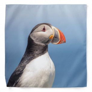 Atlantic Puffin in Machias, Maine Bandana