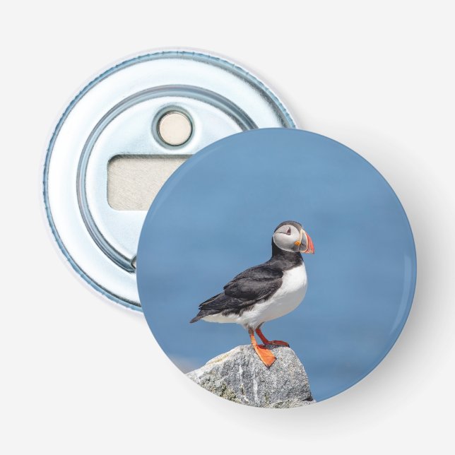 Atlantic Puffin in Machias, Maine Bottle Opener (Front)