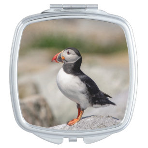 Atlantic Puffin in Machias, Maine Compact Mirror
