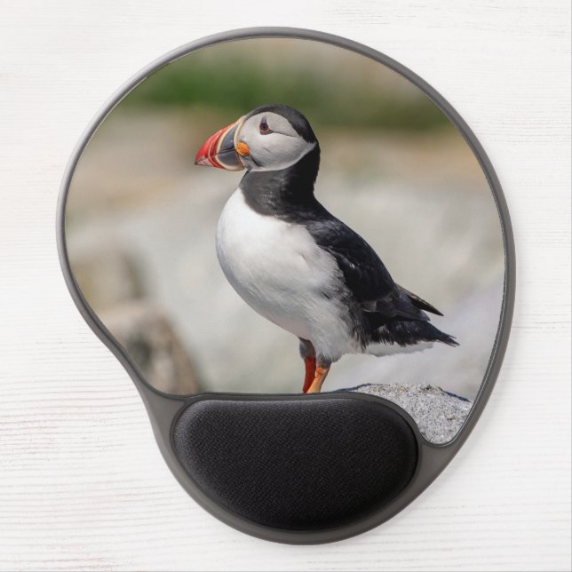 Atlantic Puffin in Machias, Maine Gel Mouse Pad (Front)