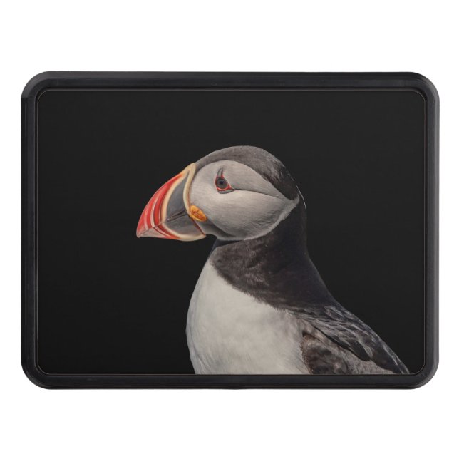 Atlantic Puffin in Machias, Maine Hitch Cover (Front)
