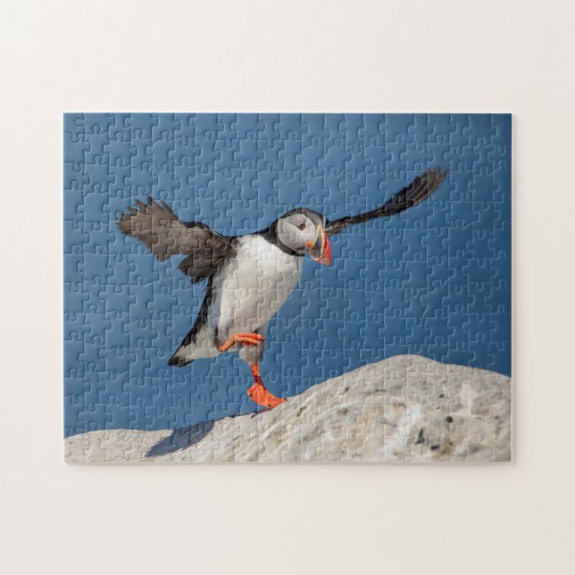 Atlantic Puffin in Machias, Maine Jigsaw Puzzle (Horizontal)