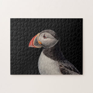 Atlantic Puffin in Machias, Maine Jigsaw Puzzle