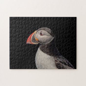 Atlantic Puffin In Machias  Maine Jigsaw Puzzle by debscreative at Zazzle