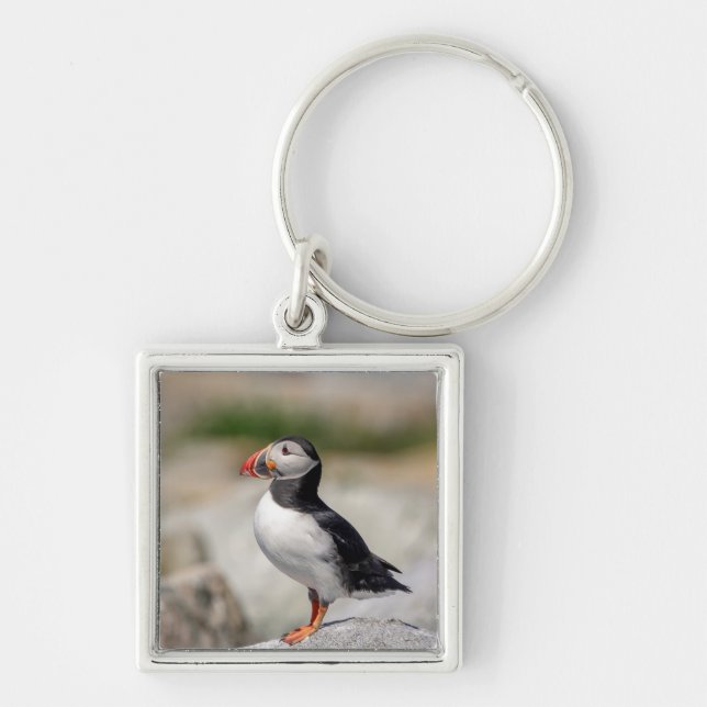 Atlantic Puffin in Machias, Maine Keychain (Front)