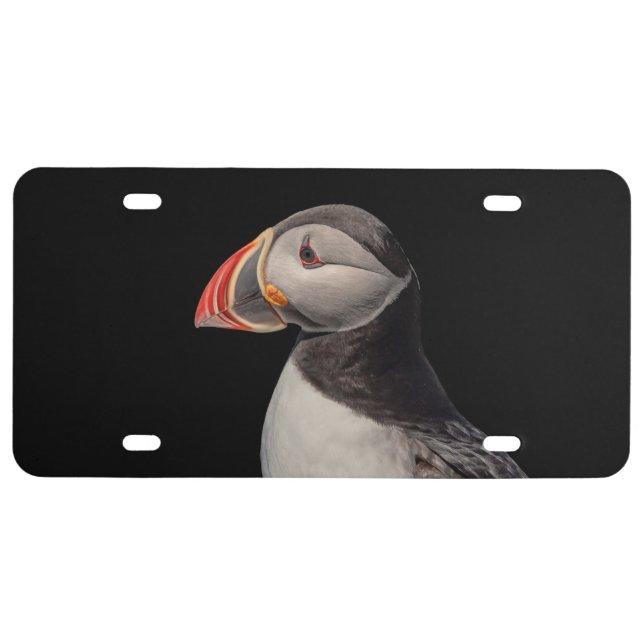 Atlantic Puffin in Machias, Maine License Plate (Front)