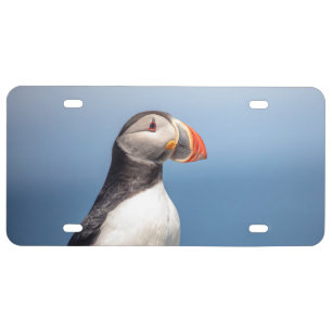 Atlantic Puffin in Machias, Maine License Plate