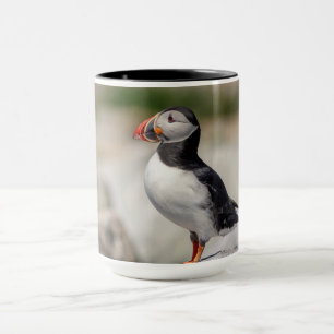 Atlantic Puffin in Machias, Maine Mug