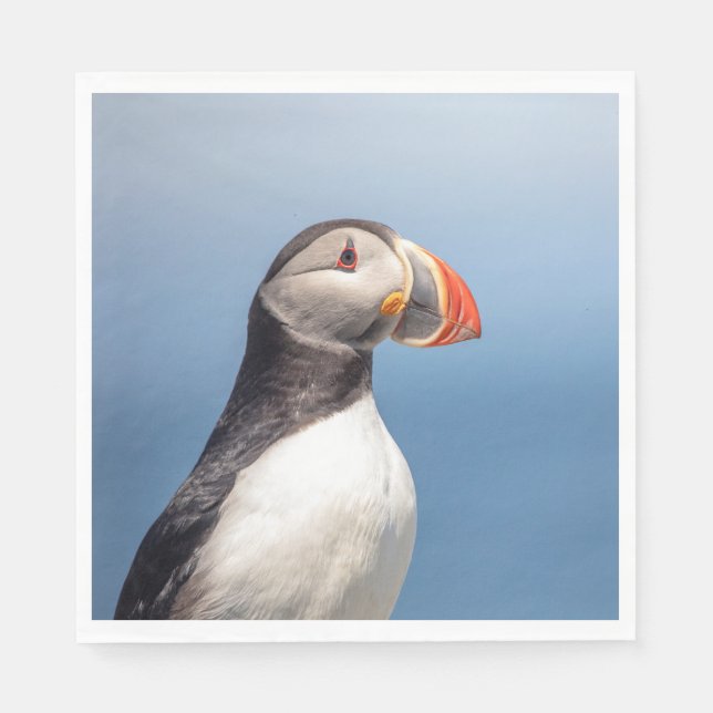 Atlantic Puffin in Machias, Maine Napkins (Front)