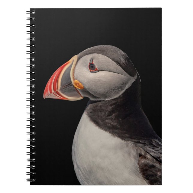Atlantic Puffin in Machias, Maine Notebook (Front)