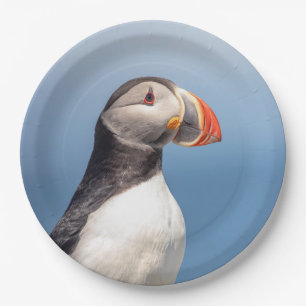 Atlantic Puffin in Machias, Maine Paper Plates