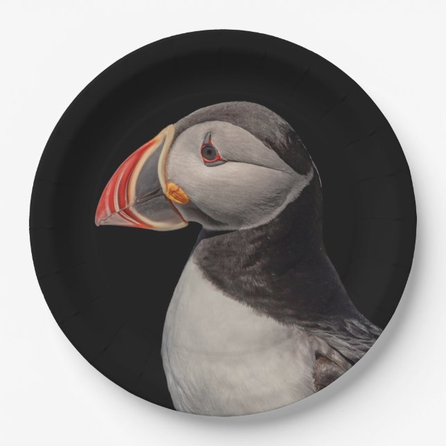 Atlantic Puffin in Machias, Maine Paper Plates (Front)