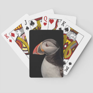 Atlantic Puffin in Machias, Maine Poker Cards