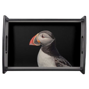 Atlantic Puffin in Machias, Maine Serving Tray