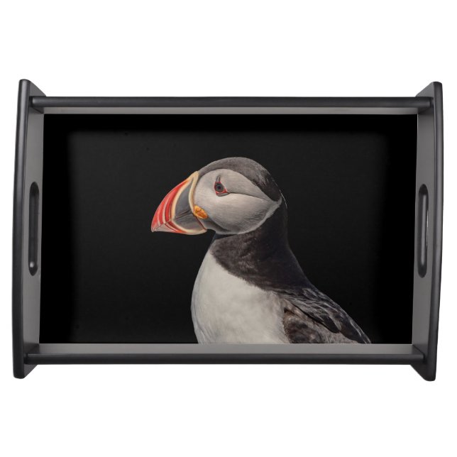 Atlantic Puffin in Machias, Maine Serving Tray (Front)