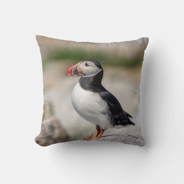 Atlantic Puffin in Machias, Maine Throw Pillow (Front)