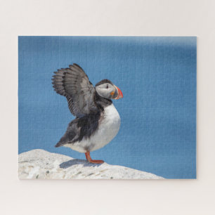 Atlantic Puffin in Machias, ME Jigsaw Puzzle