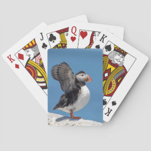 Atlantic Puffin in Machias, ME Poker Cards
