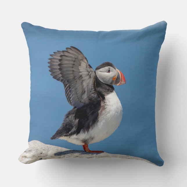 Atlantic Puffin in Machias, ME Throw Pillow (Front)