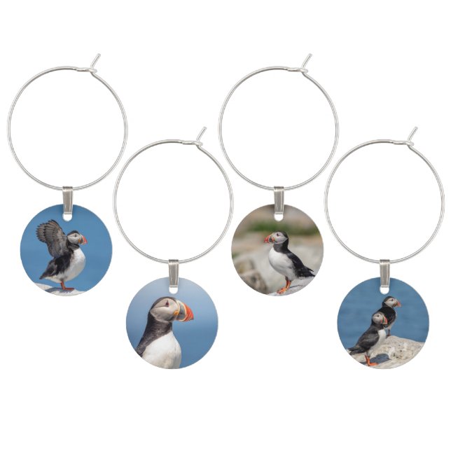 Atlantic Puffin in Machias, ME Wine Charm (Staggered)