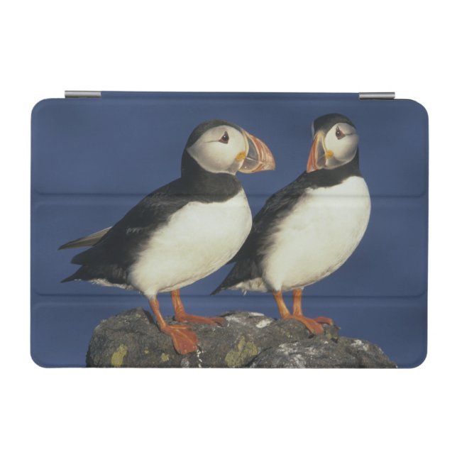 Atlantic Puffin iPad Mini Cover (Horizontal)