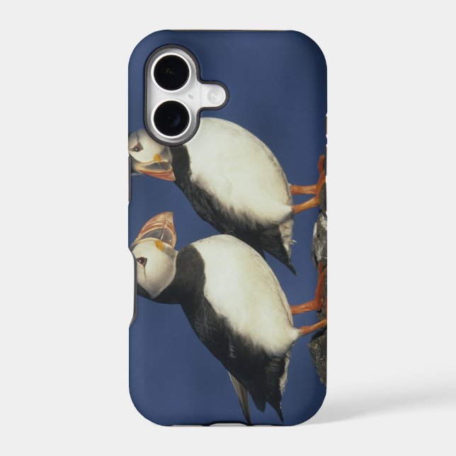Atlantic Puffin Iphone Case (Back)