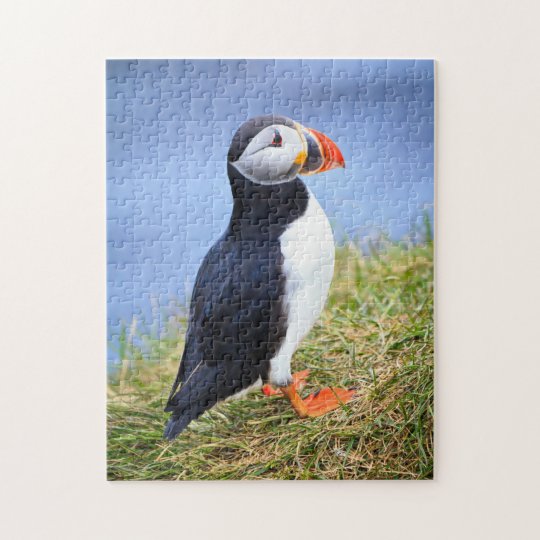 Atlantic Puffin Jigsaw Puzzle | Zazzle.com