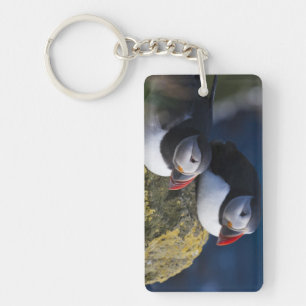 Atlantic Puffin Keychain