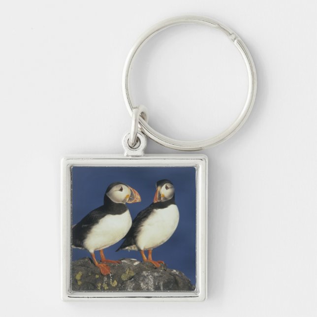Atlantic Puffin Keychain (Front)
