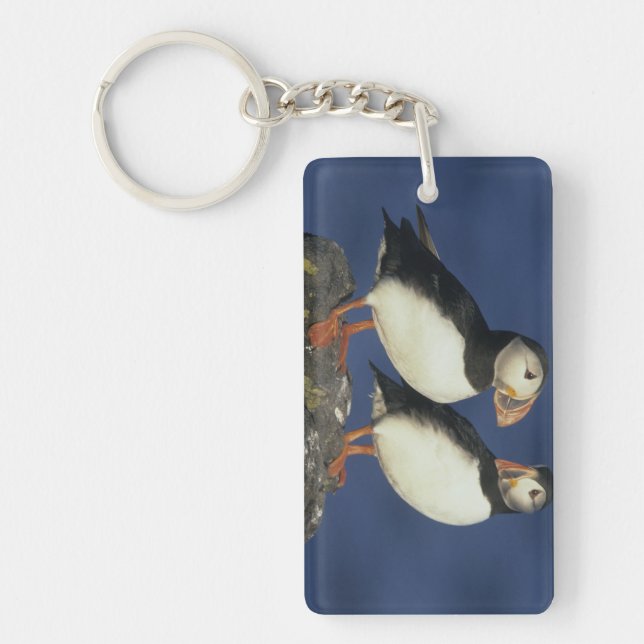 Atlantic Puffin Keychain (Front)