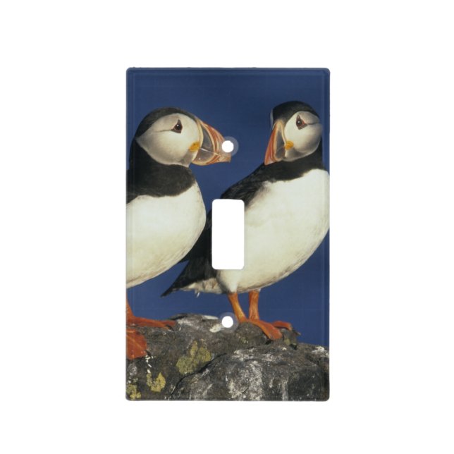 Atlantic Puffin Light Switch Cover (Front)