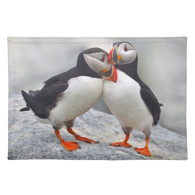 Atlantic Puffin Love Cloth Placemat (Front)