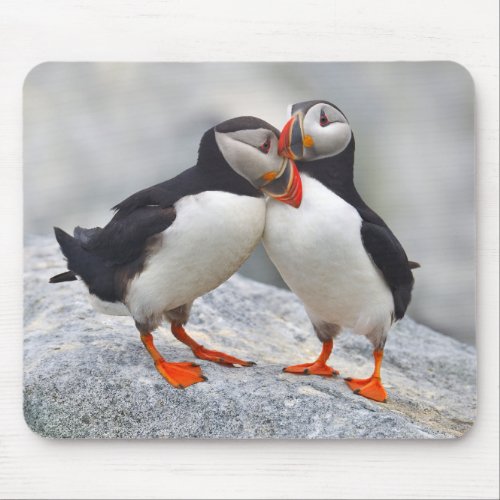 Atlantic Puffin Love Mouse Pad