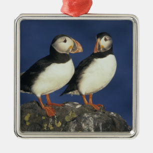 Atlantic Puffin Metal Ornament