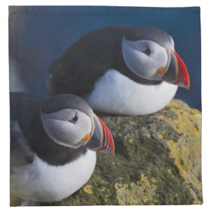 Atlantic Puffin Napkin